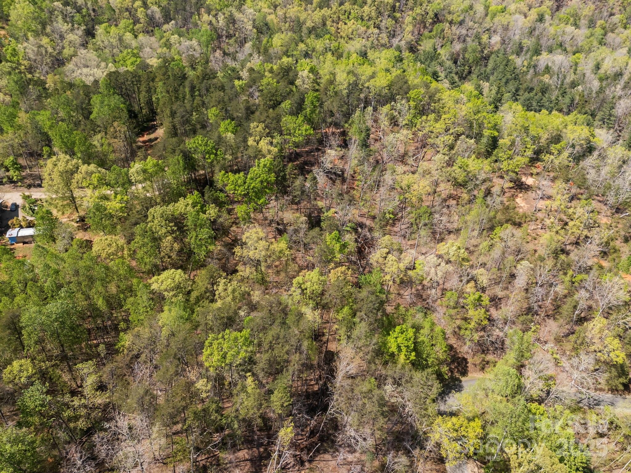 0 Hawkins Lane Mill Spring, NC 28756 - Photo 14 of 16