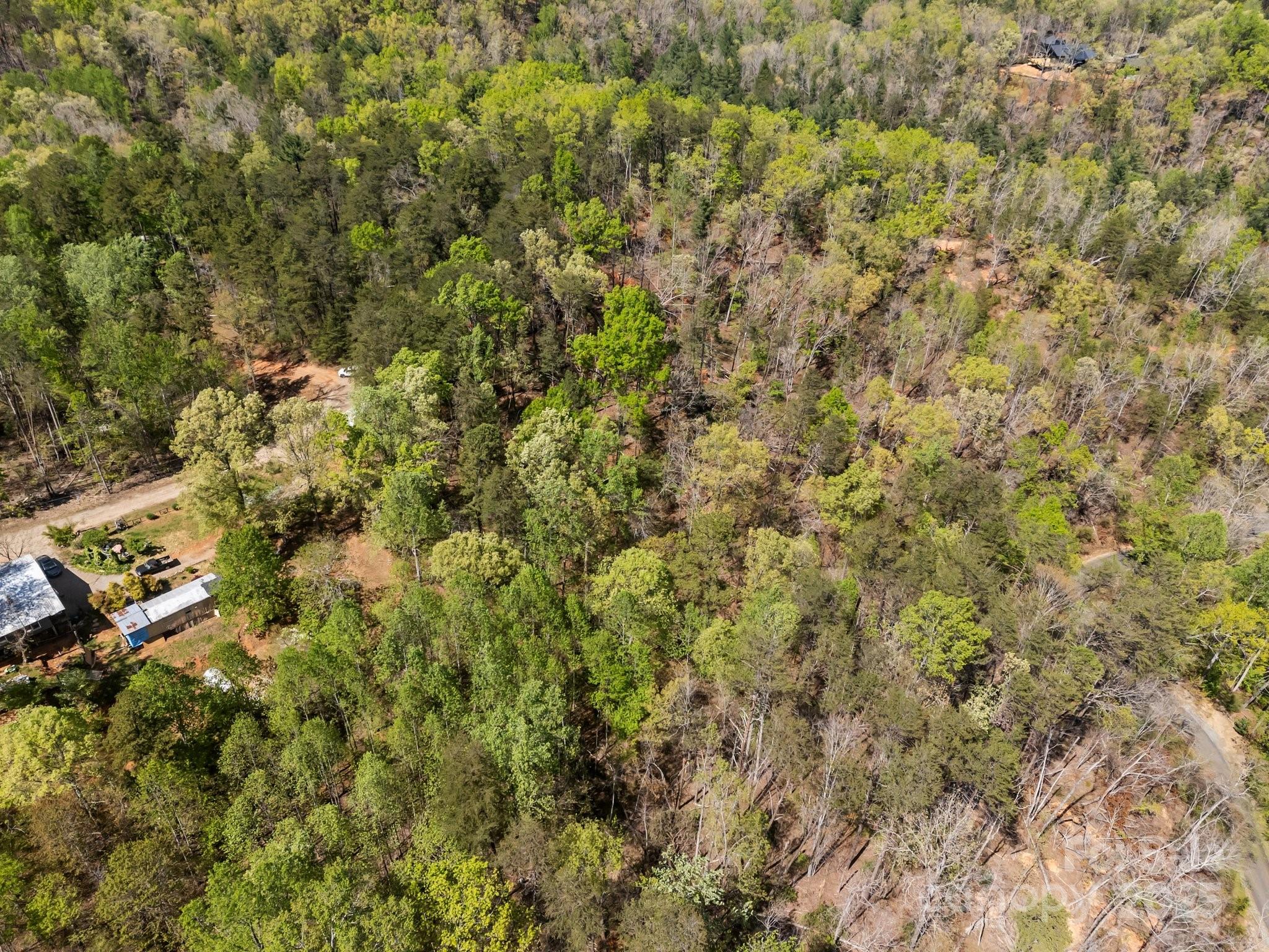 0 Hawkins Lane Mill Spring, NC 28756 - Photo 15 of 16 a view of a yard of a building