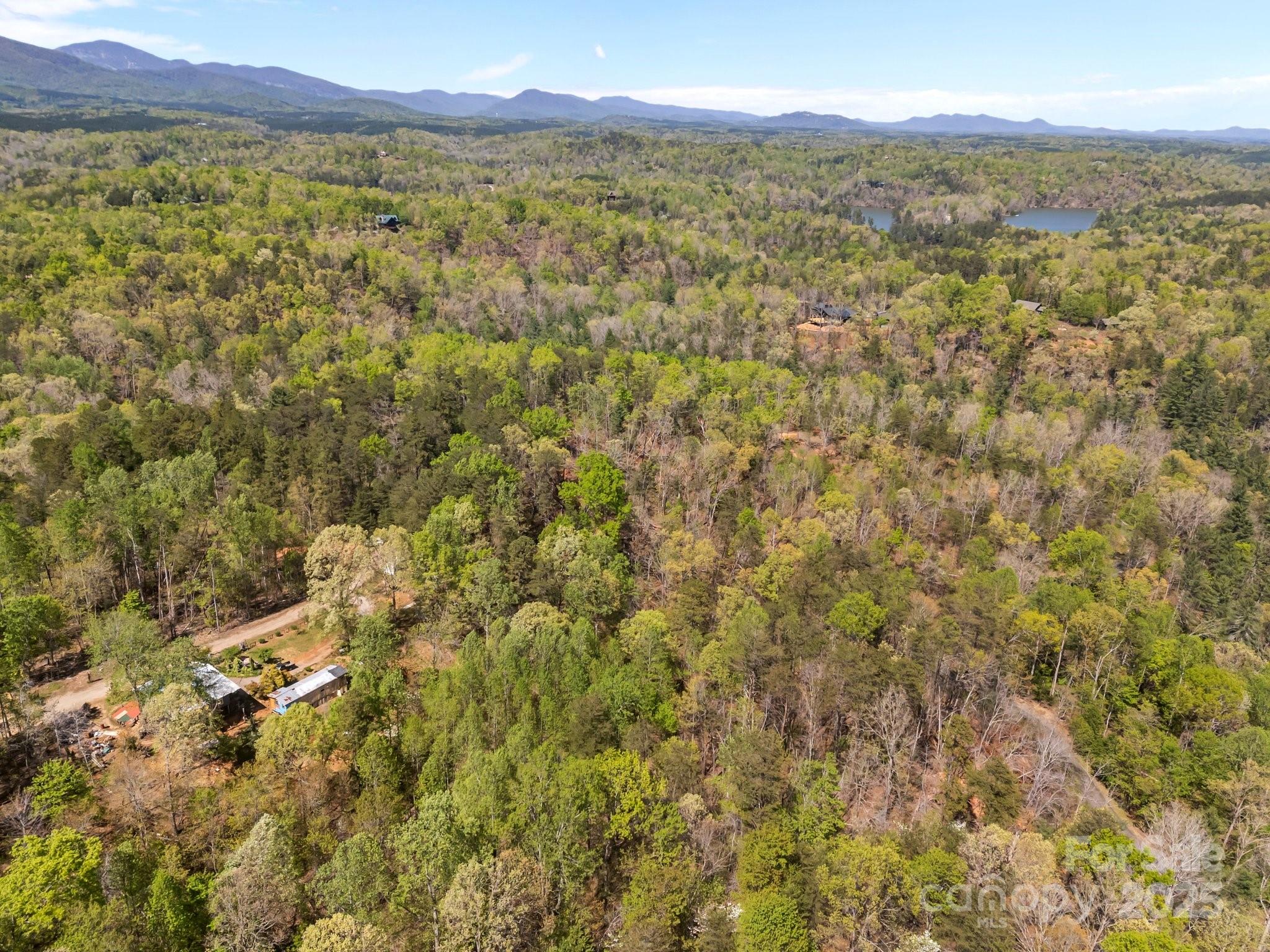 0 Hawkins Lane Mill Spring, NC 28756 - Photo 16 of 16 a view of a city with lush green forest