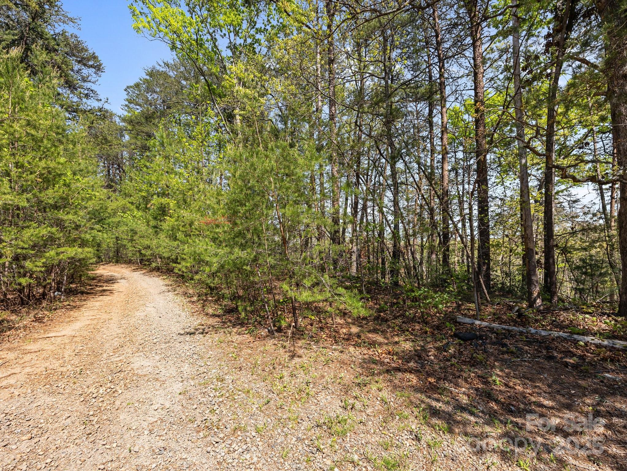 0 Hawkins Lane Mill Spring, NC 28756 - Photo 2 of 16 a view of a yard with plants and trees