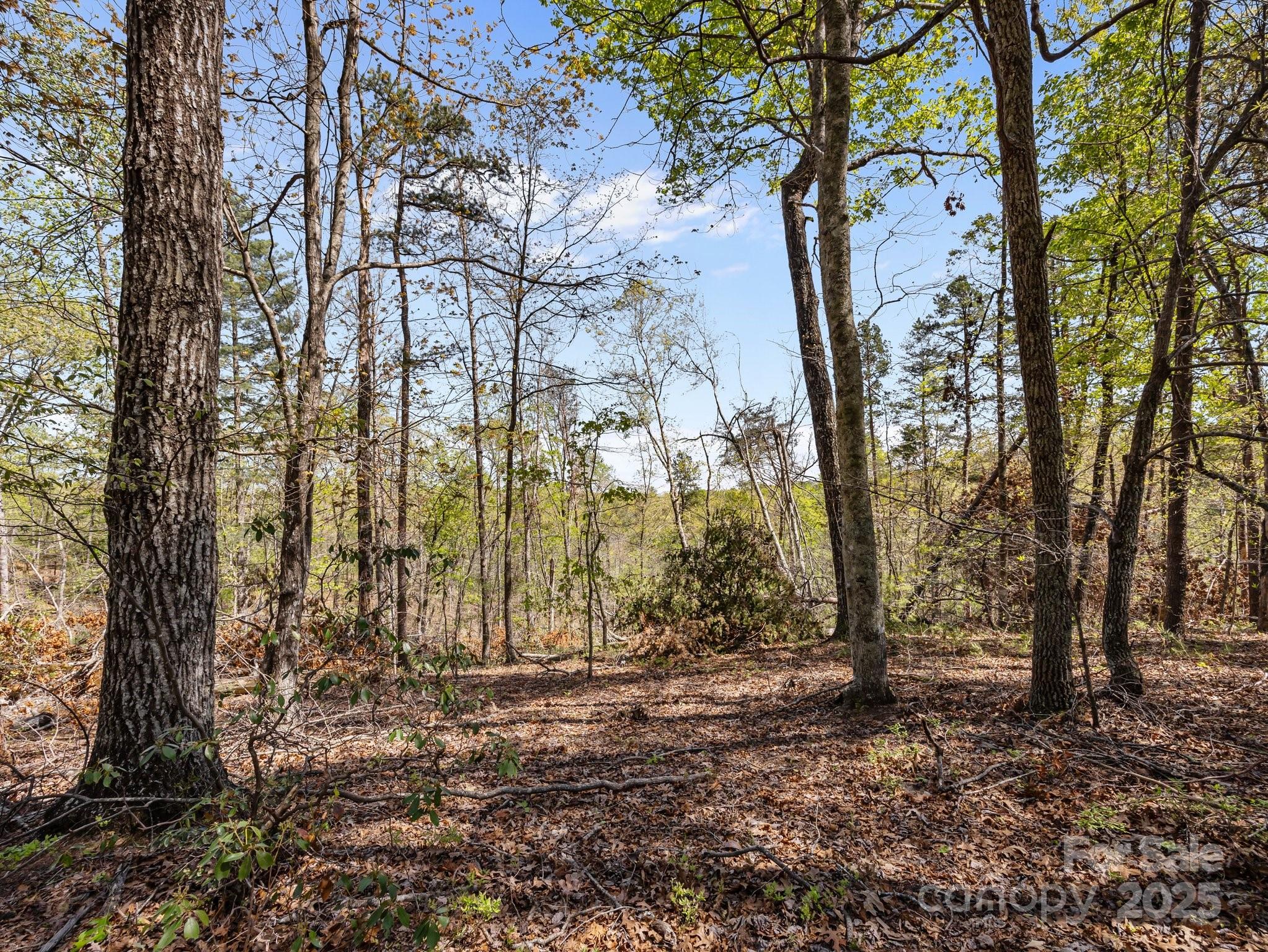 0 Hawkins Lane Mill Spring, NC 28756 - Photo 3 of 16 a view of backyard of a building