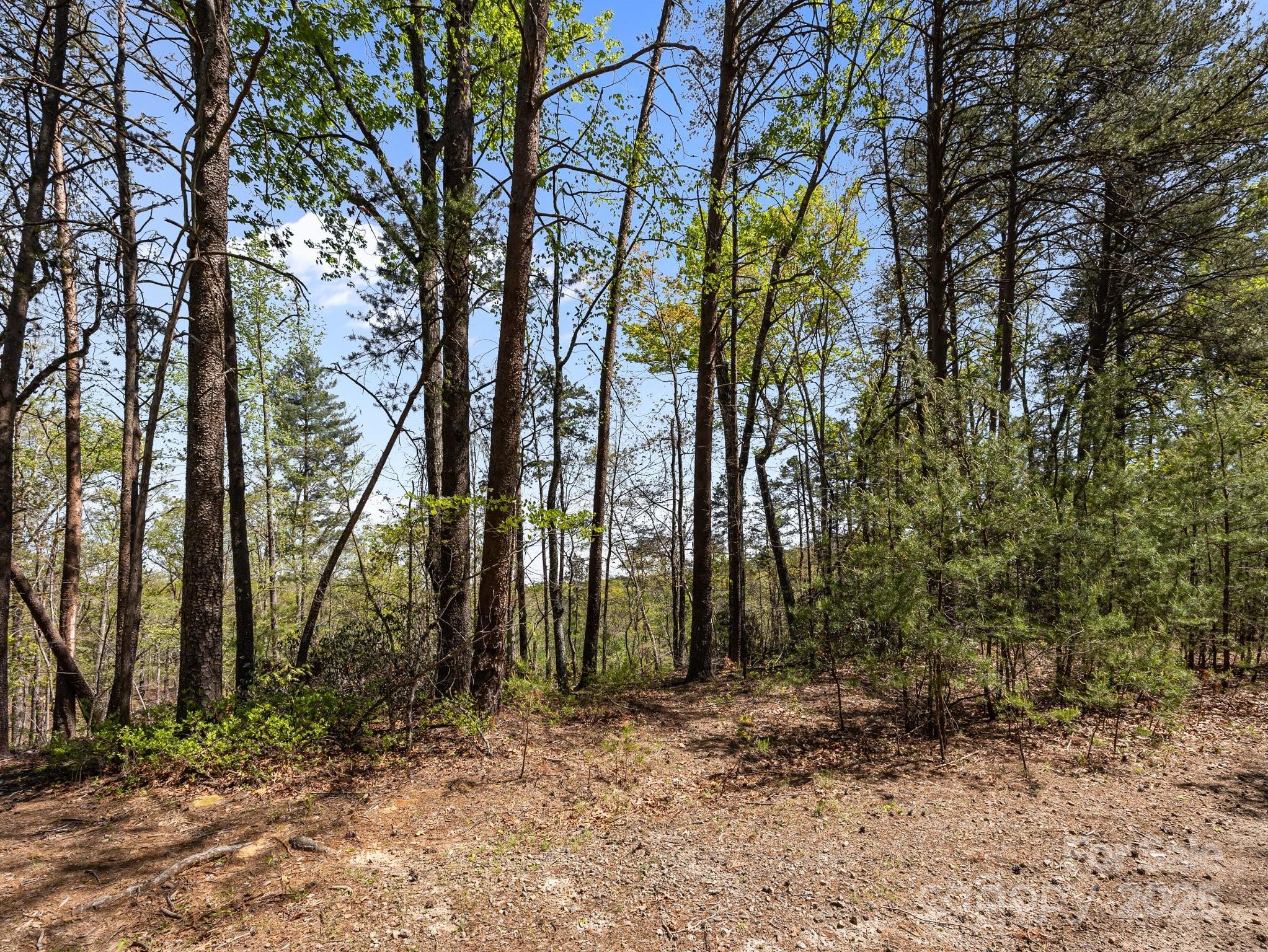 0 Hawkins Lane Mill Spring, NC 28756 - Photo 4 of 16 a backyard of a house with lots of trees