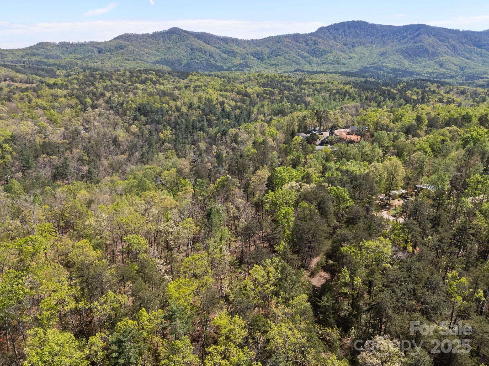 0 Hawkins Lane Mill Spring, NC 28756 - Photo 5 of 16 a view of mountain and a mountain