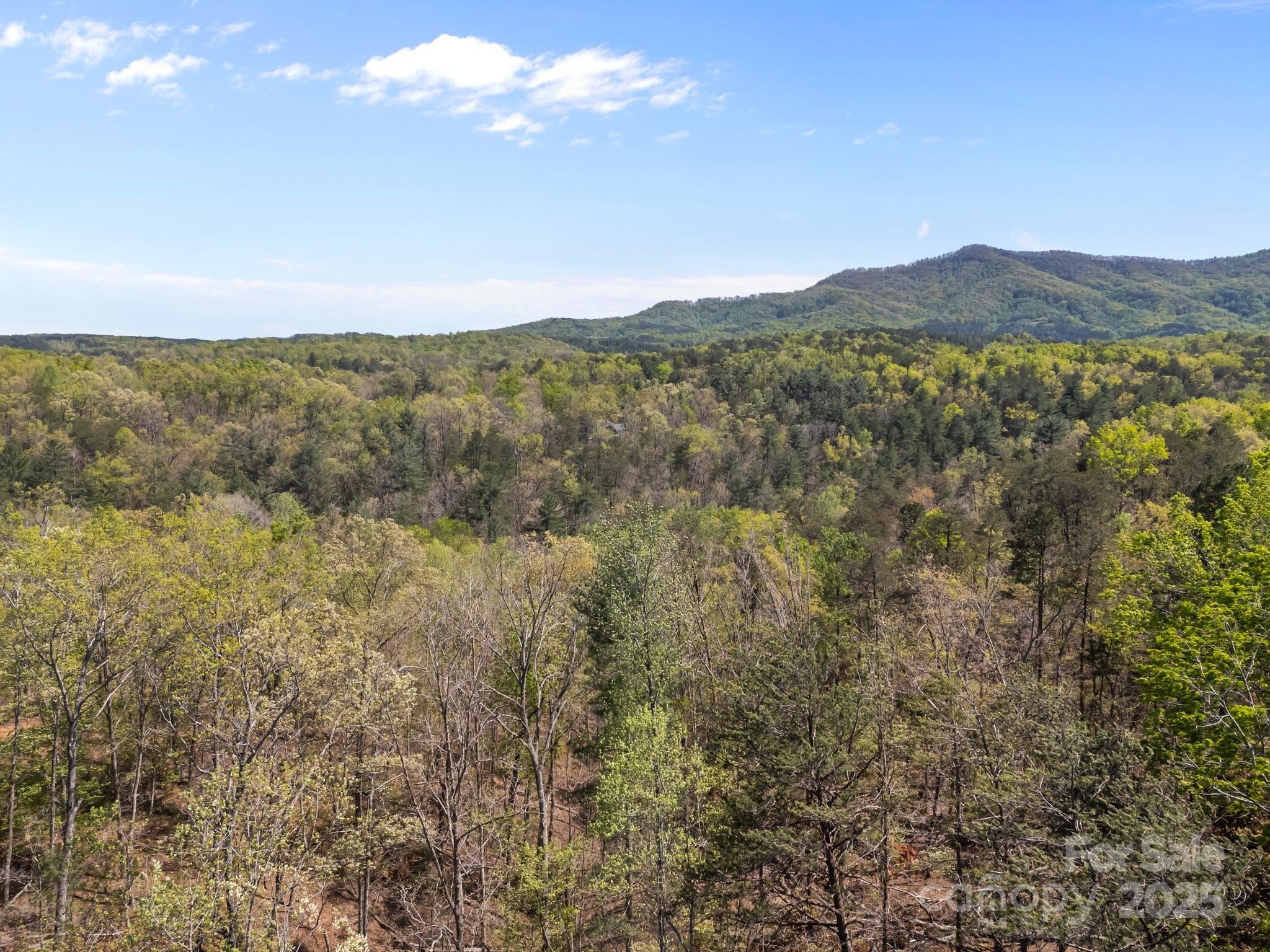 0 Hawkins Lane Mill Spring, NC 28756 - Photo 6 of 16 a view of mountain with trees in the background