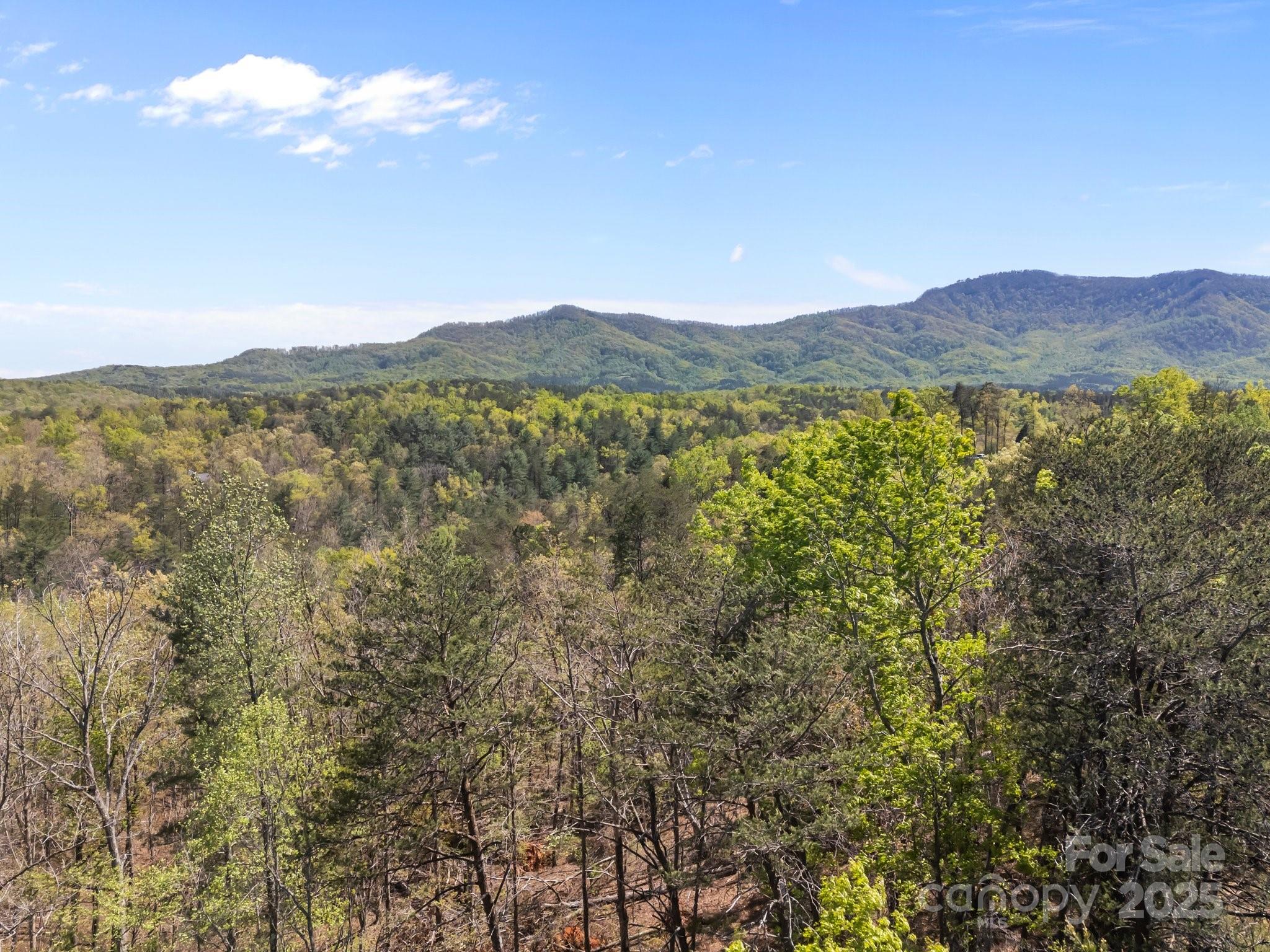0 Hawkins Lane Mill Spring, NC 28756 - Photo 7 of 16 a view of a mountain
