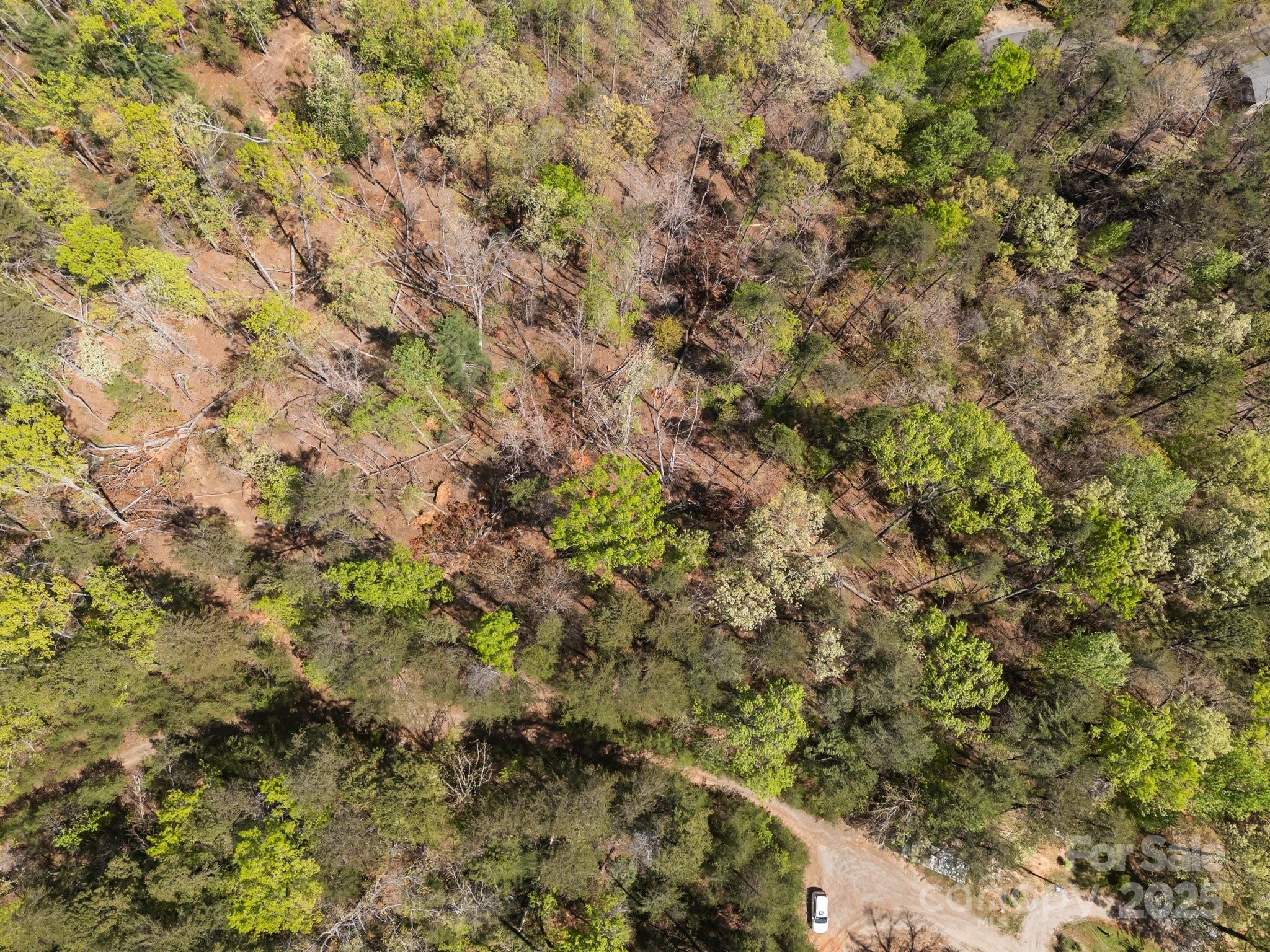 0 Hawkins Lane Mill Spring, NC 28756 - Photo 8 of 16 a view of a tree