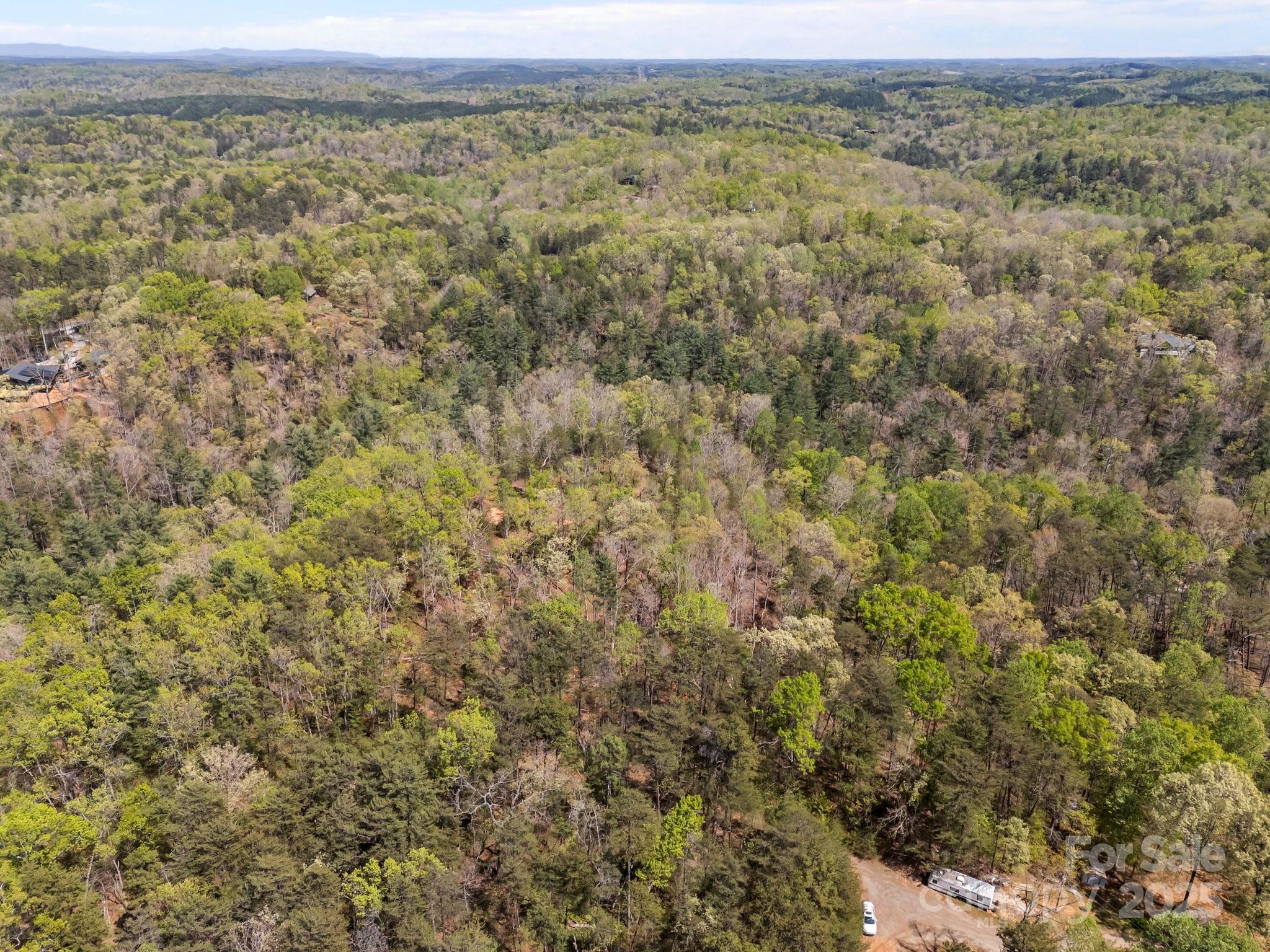 0 Hawkins Lane Mill Spring, NC 28756 - Photo 9 of 16 a view of a field with a mountain in the background