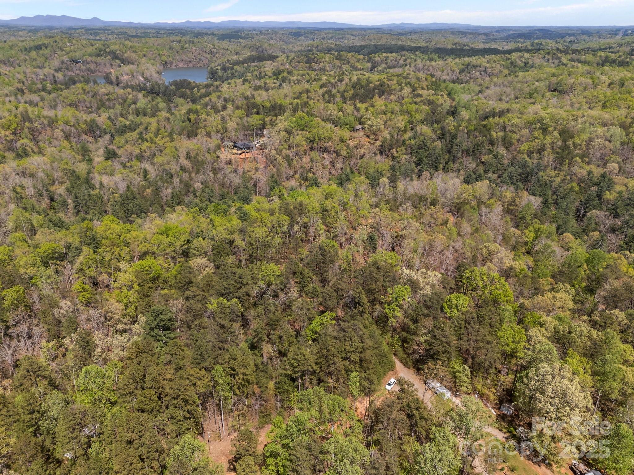 0 Hawkins Lane Mill Spring, NC 28756 - Photo 10 of 16 a view of a field with a mountain in the background