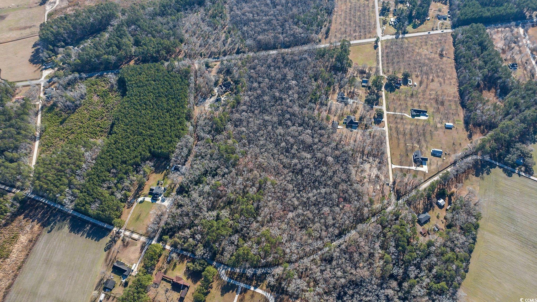 Tbd Reba Drive Conway, SC 29527 - Photo 11 of 16