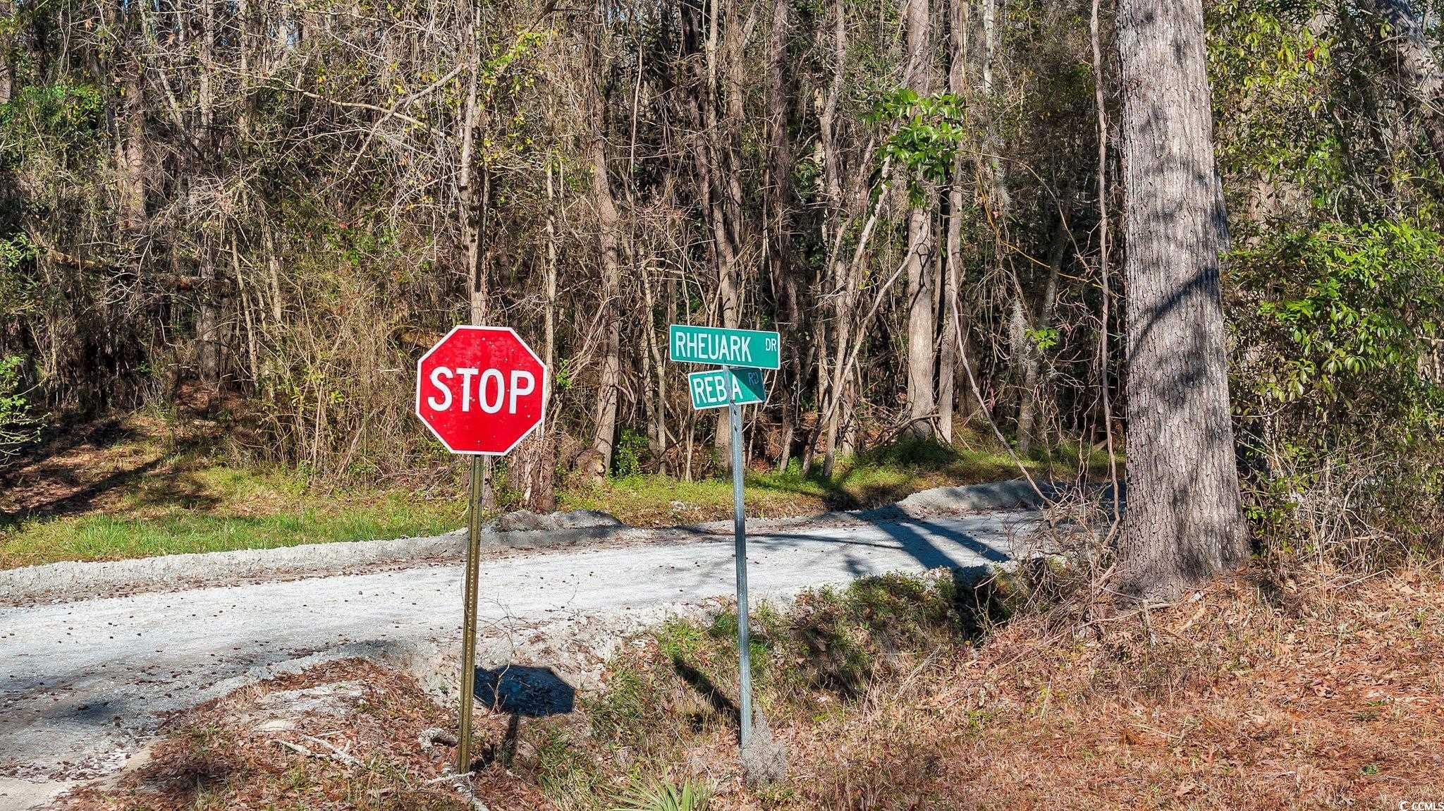 Tbd Reba Drive Conway, SC 29527 - Photo 14 of 16
