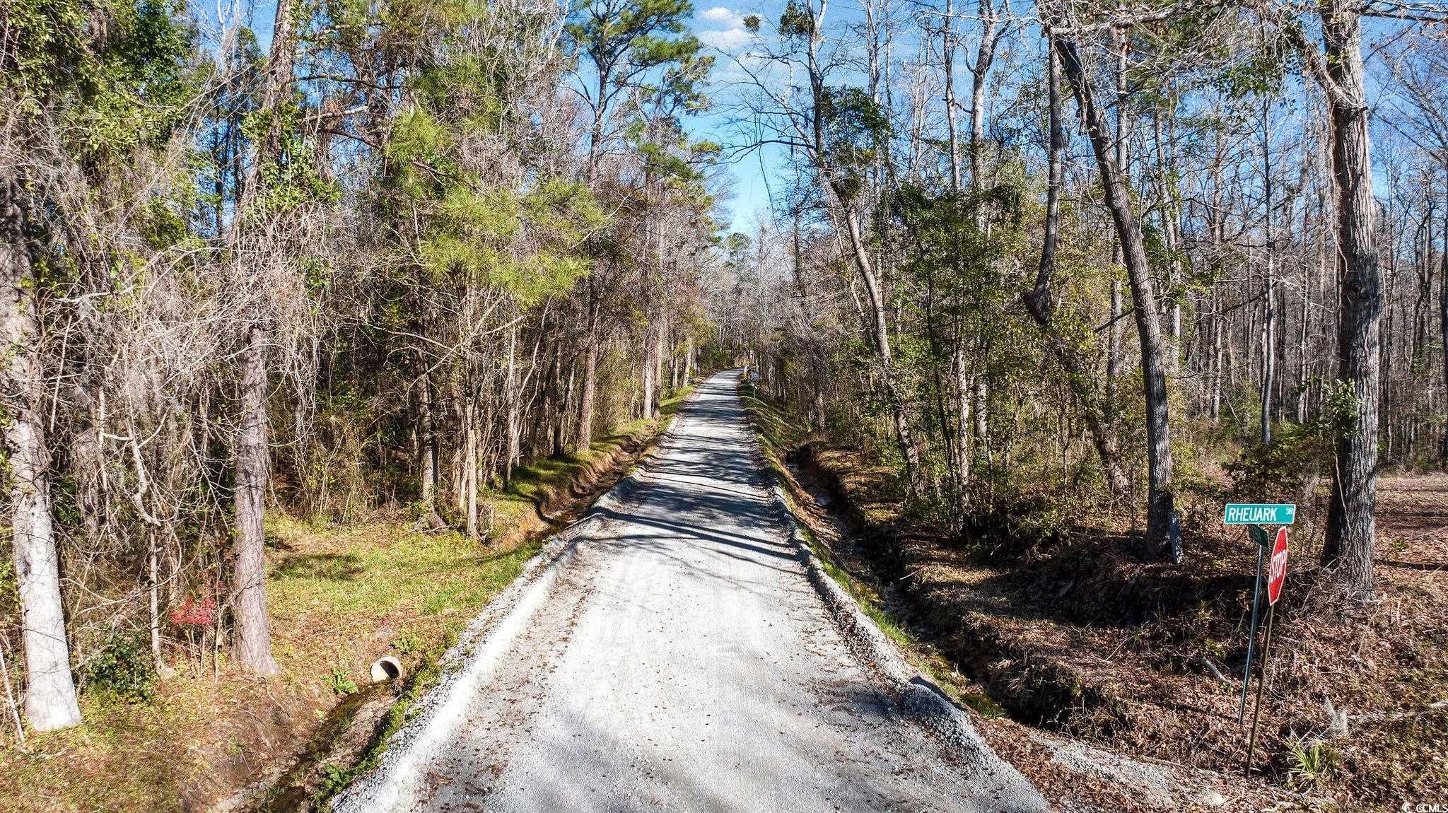Tbd Reba Drive Conway, SC 29527 - Photo 15 of 16