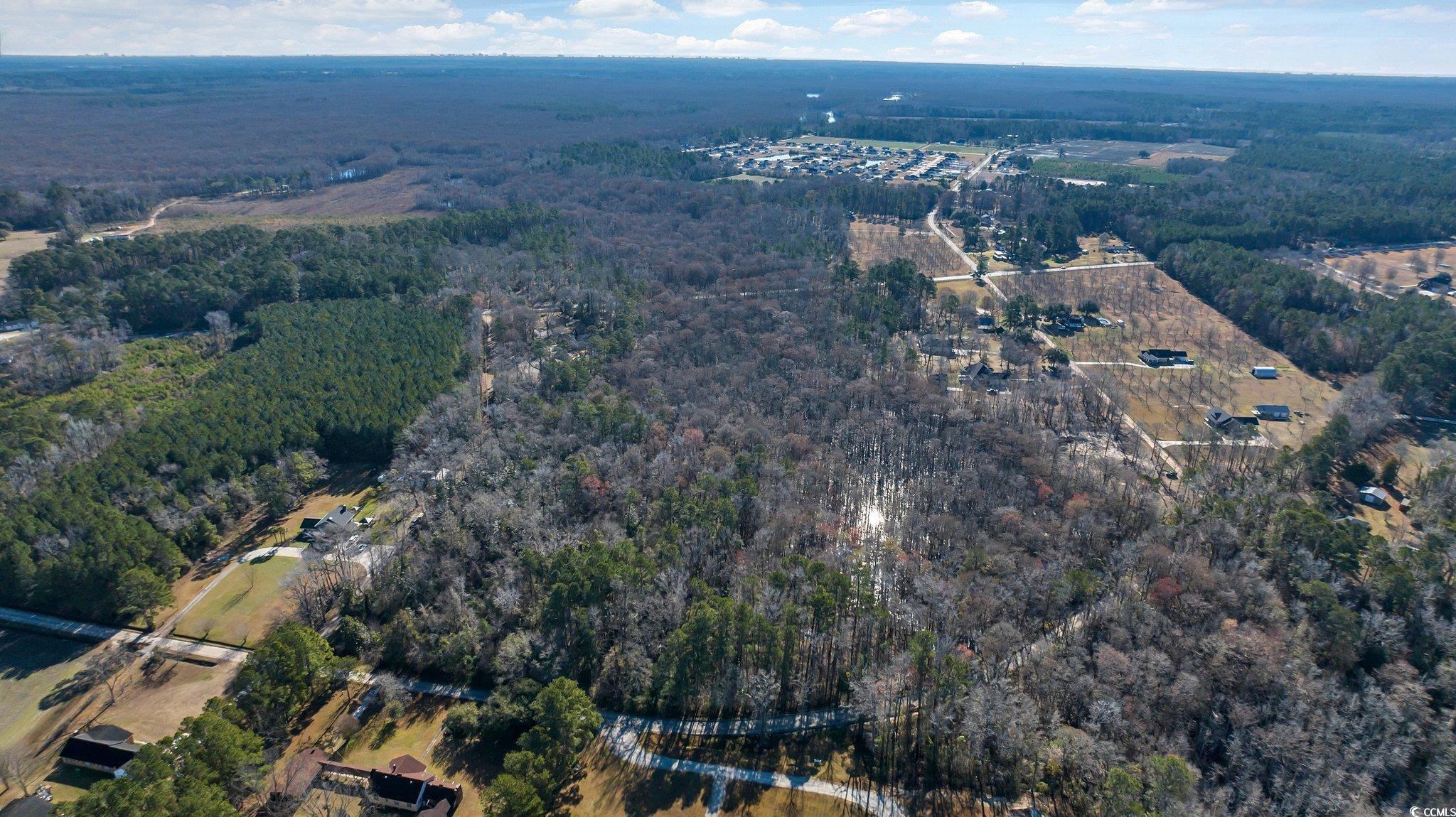 Tbd Reba Drive Conway, SC 29527 - Photo 3 of 16