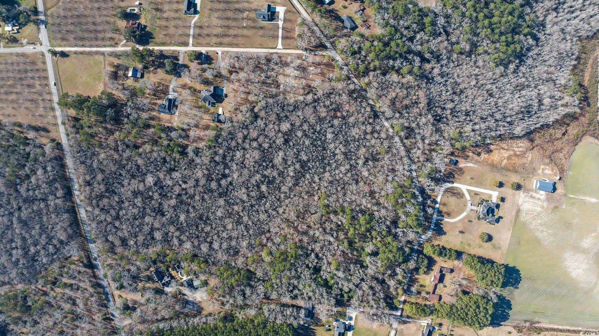 Tbd Reba Drive Conway, SC 29527 - Photo 6 of 16