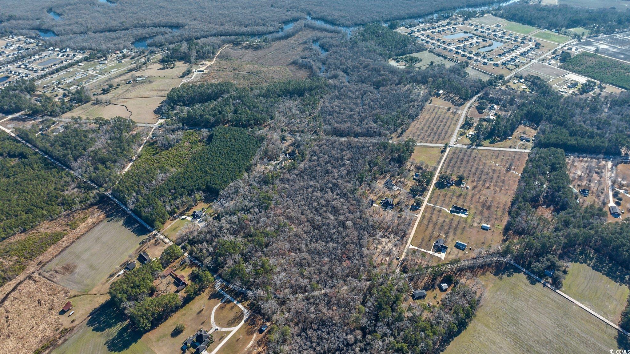 Tbd Reba Drive Conway, SC 29527 - Photo 9 of 16