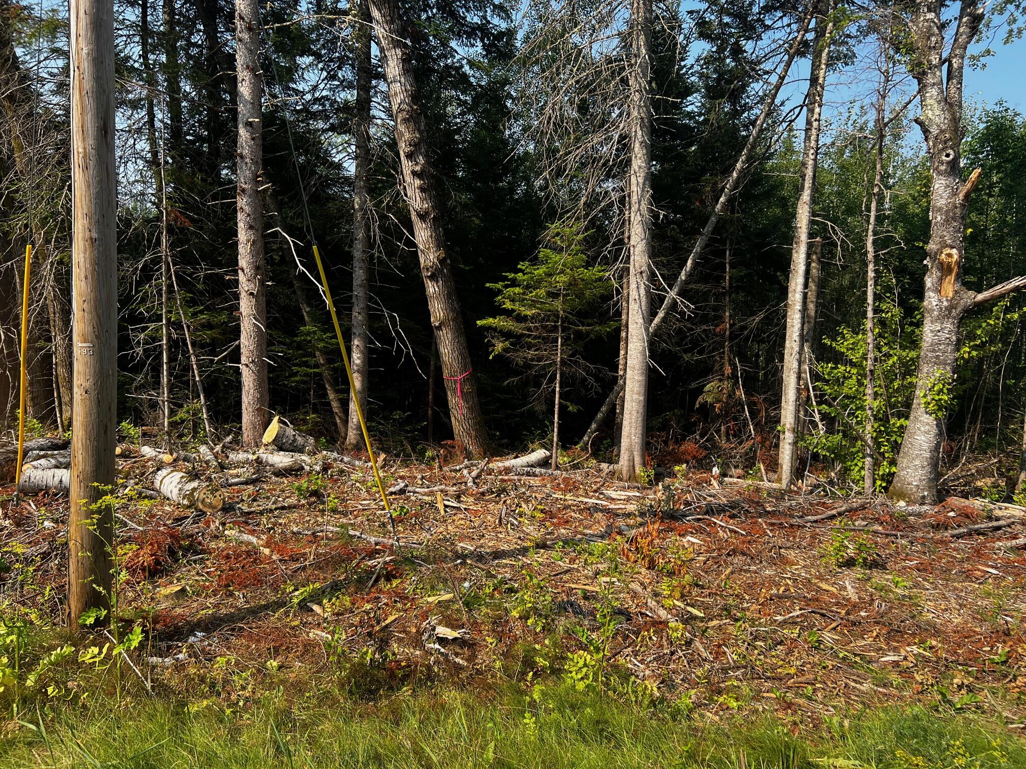 10-l 13 Us Route 1 Route Amity, ME 04471 - Photo 7 of 7 IMG_0123