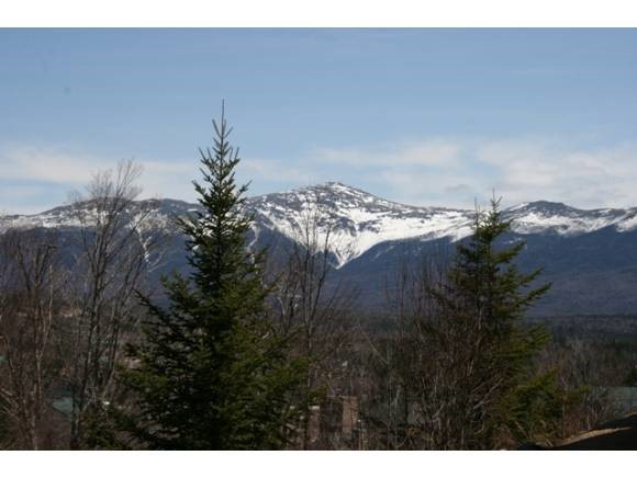 14 Crawford Ridge Road, Unit 14 Carroll, NH 03595 - Photo 17 of 17