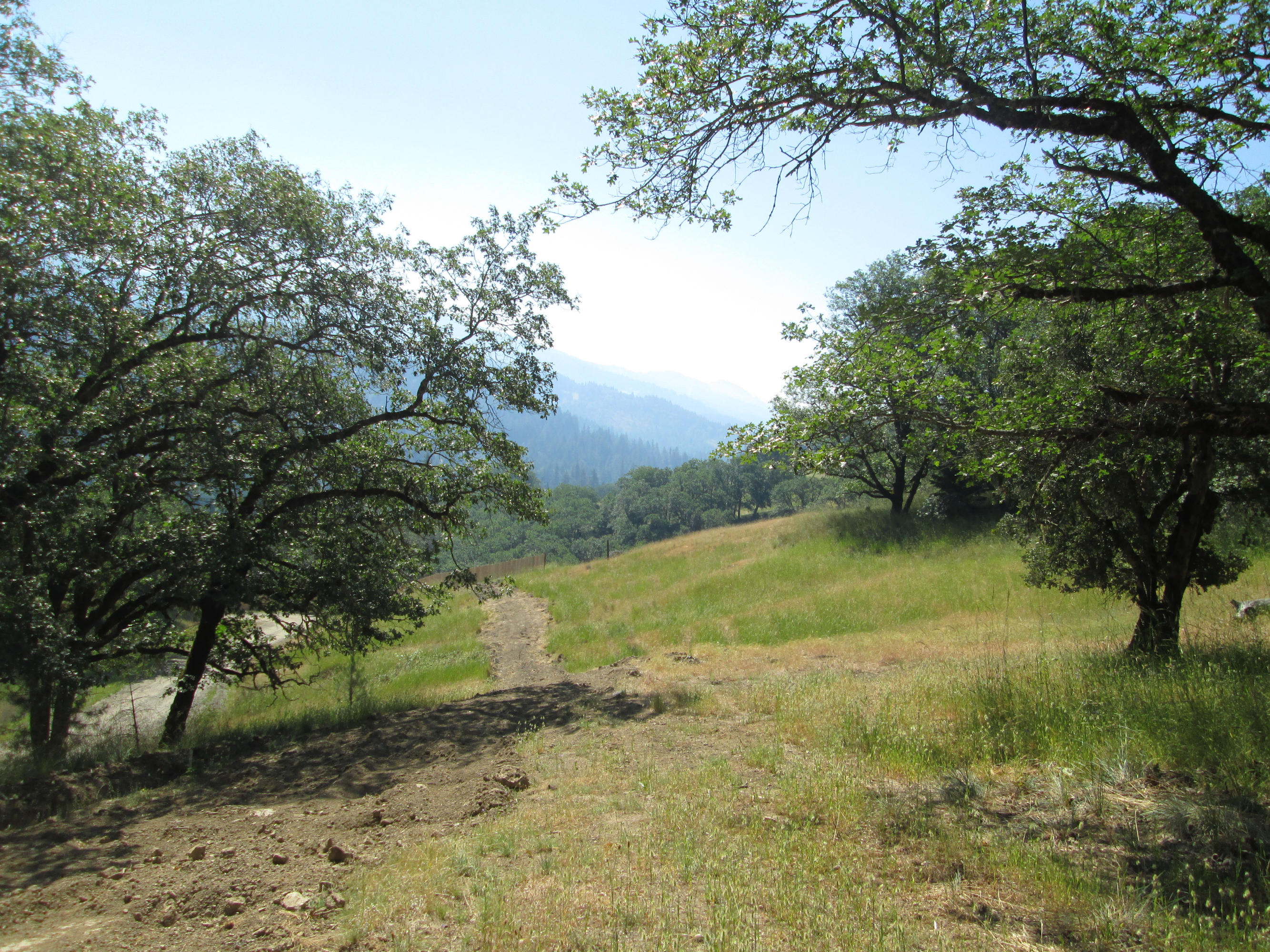 Pcl 58 Sanicula Road Mad River, CA 95552 - Photo 4 of 7
