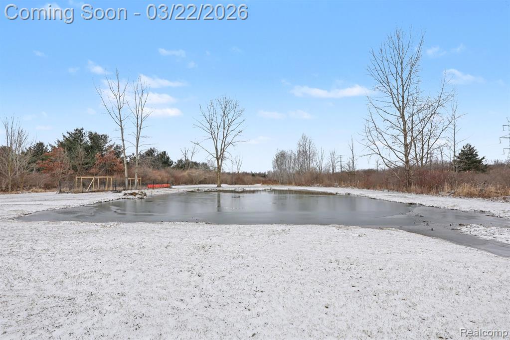 4458 Palms Road Casco, MI 48064 - Photo 4 of 32