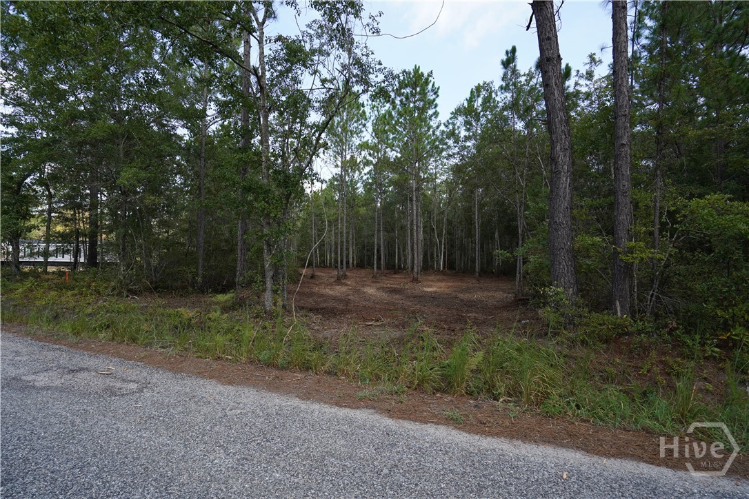 1 Williams Road Guyton, GA 31312 - Photo 2 of 7 Gallery Image 2