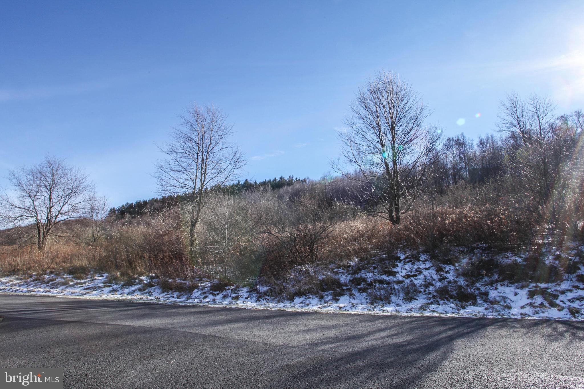 26 Settlers Pass McHenry, MD 21541 - Photo 3 of 16