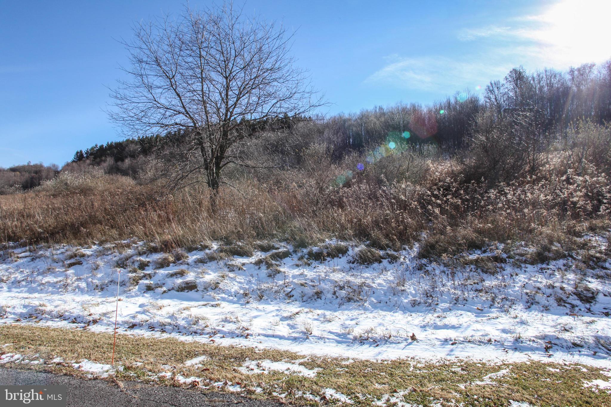 26 Settlers Pass McHenry, MD 21541 - Photo 8 of 16