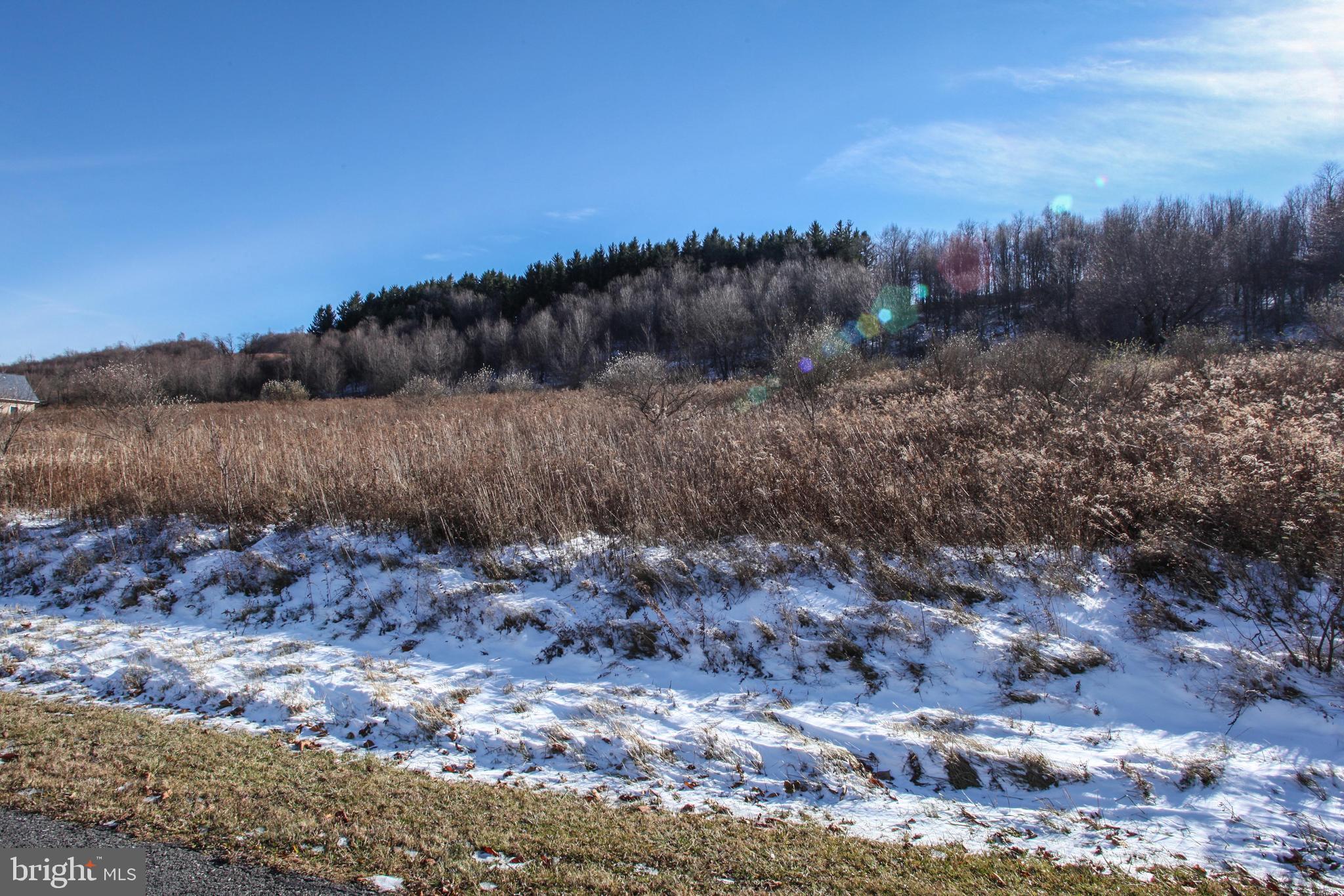 26 Settlers Pass McHenry, MD 21541 - Photo 10 of 16