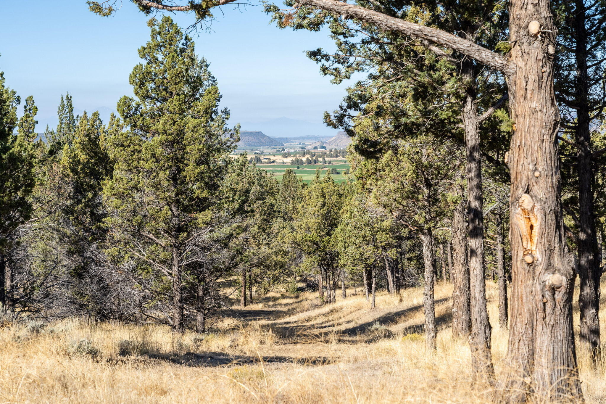 5598 North Mckay Road Prineville, OR 97754 - Photo 61 of 81 IMG_5811