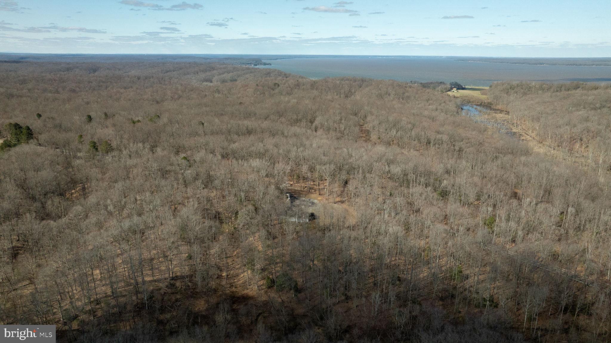 4590 Caledon Road King George, VA 22485 - Photo 80 of 88 Gallery Image 80