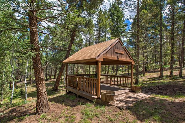 37 Quartz Road Florissant, CO 80816 - Photo 50 of 50