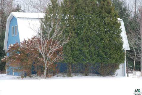 6115 Snover Road Carsonville, MI 48419 - Photo 6 of 7 463708-5.JPG