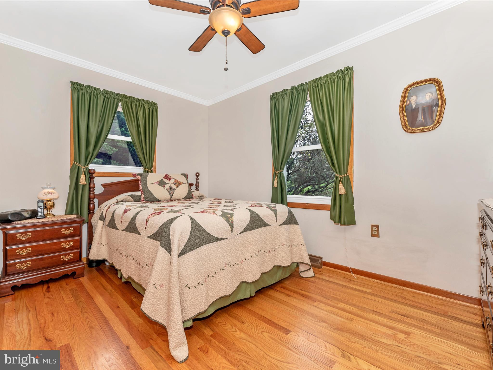 10234 Allview Drive Frederick, MD 21701 - Photo 21 of 52 Primary Bedroom