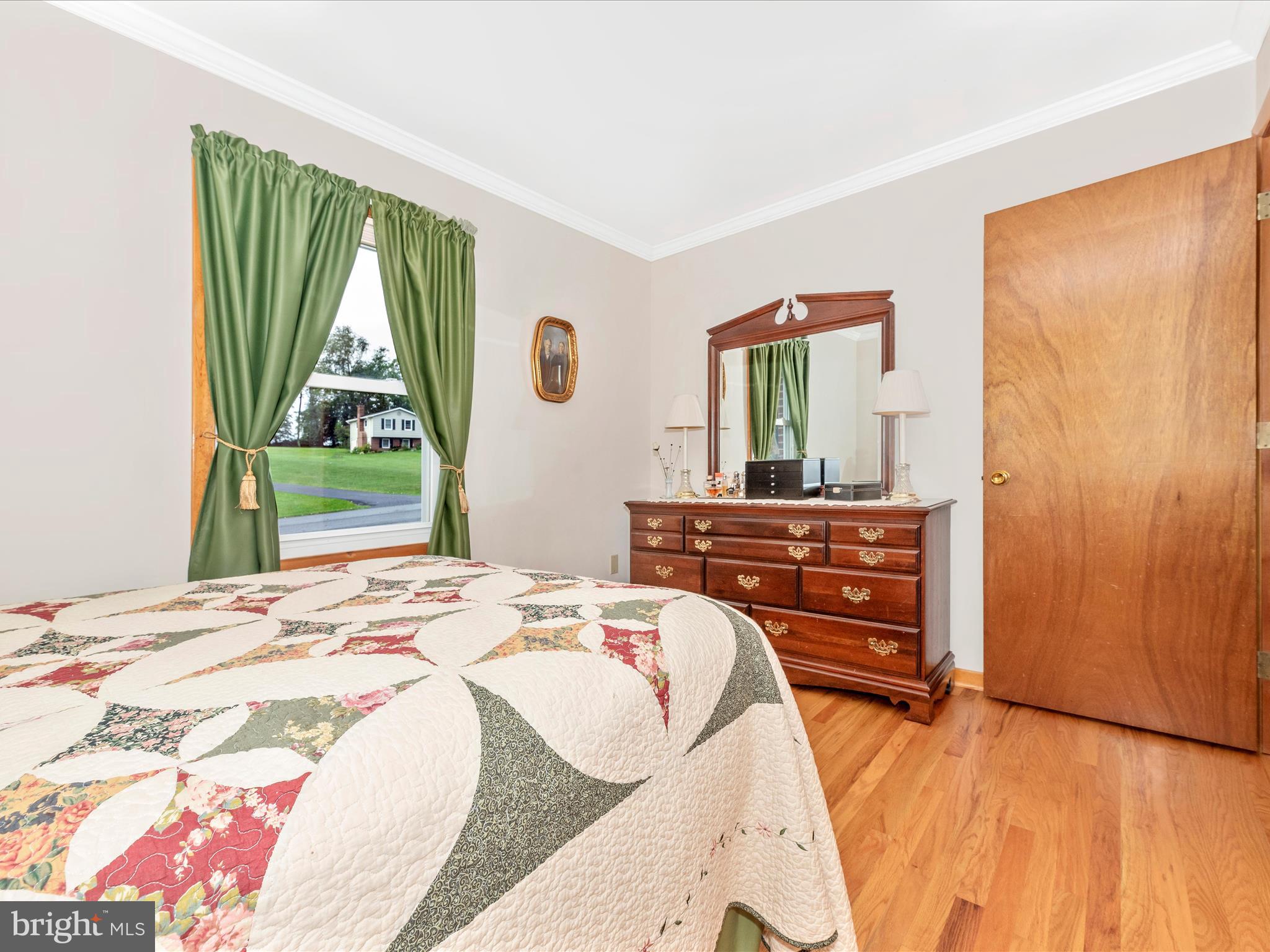 10234 Allview Drive Frederick, MD 21701 - Photo 23 of 52 Primary Bedroom