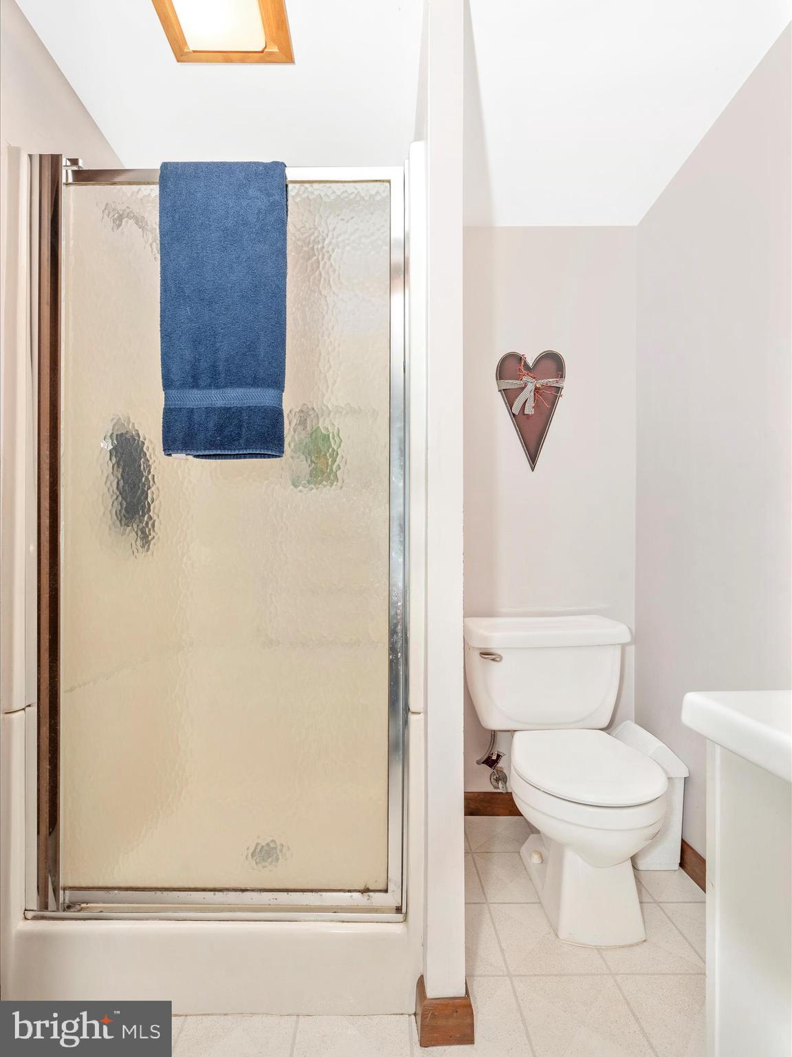 10234 Allview Drive Frederick, MD 21701 - Photo 37 of 52 Finished Lower Level Bathroom