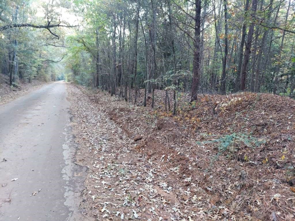 0 County Road 1587 Avinger, TX 75630 - Photo 1 of 3 a view of a forest with trees in the background