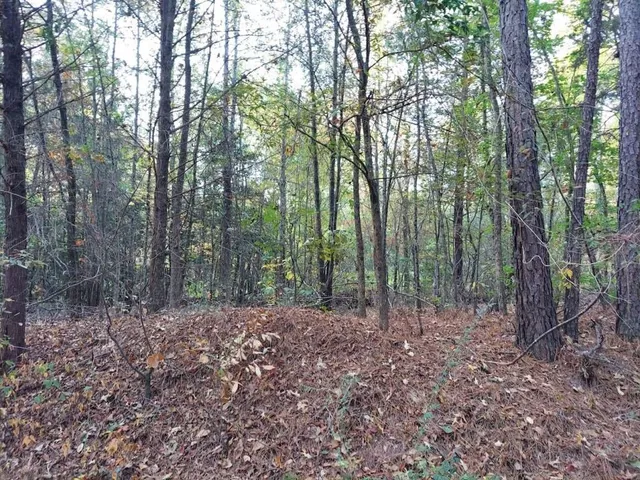 a view of outdoor space and green space