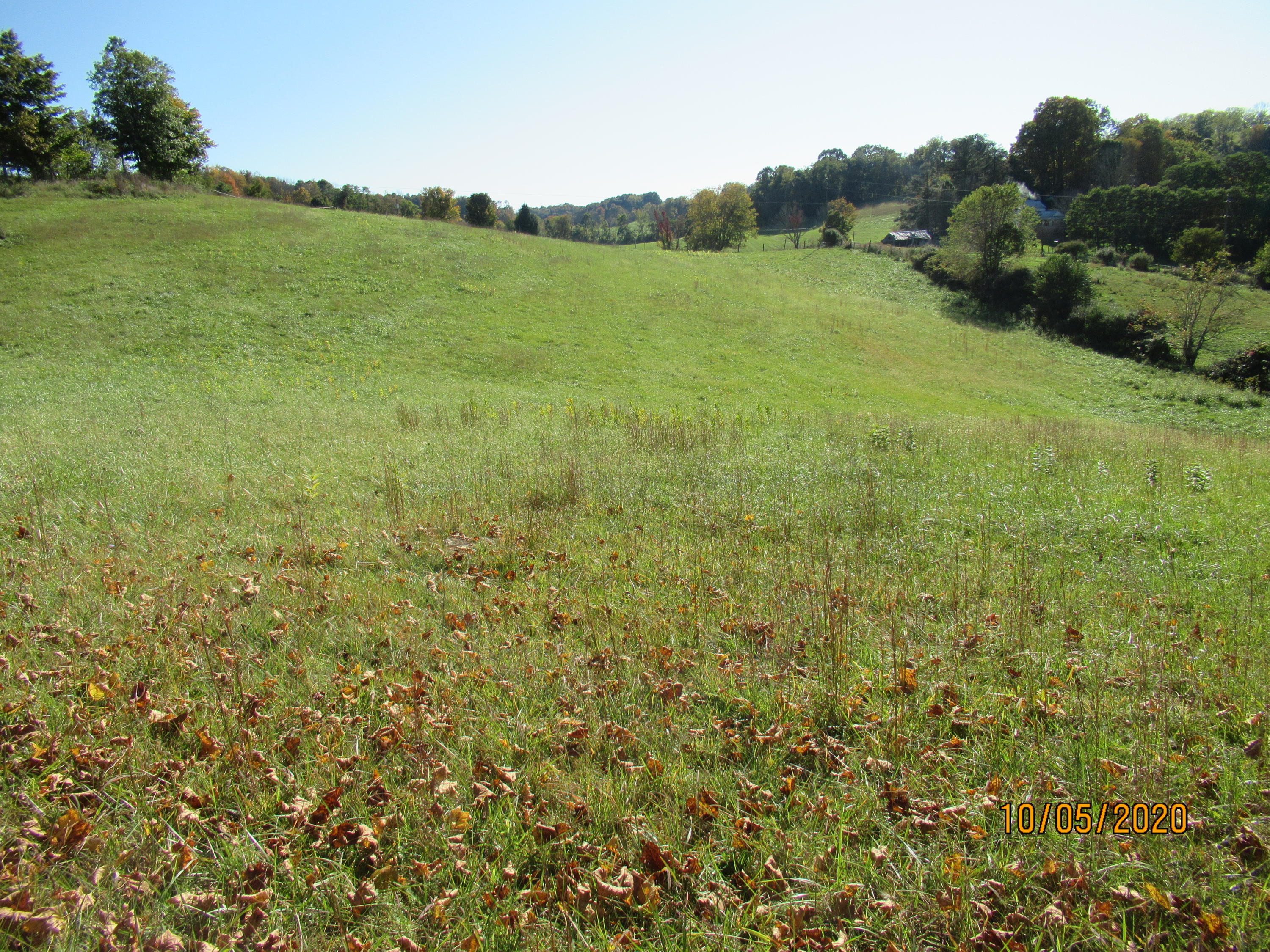 Charles Booth Road Sinks Grove, WV 24976 - Photo 9 of 18 Gallery Image 9