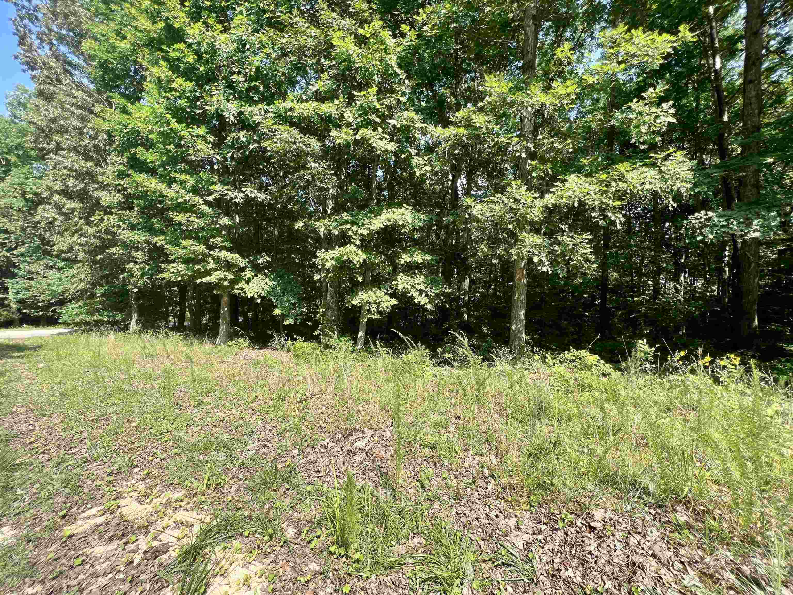 0 Lance Road Savannah, TN 38372 - Photo 8 of 12 Gallery Image 8