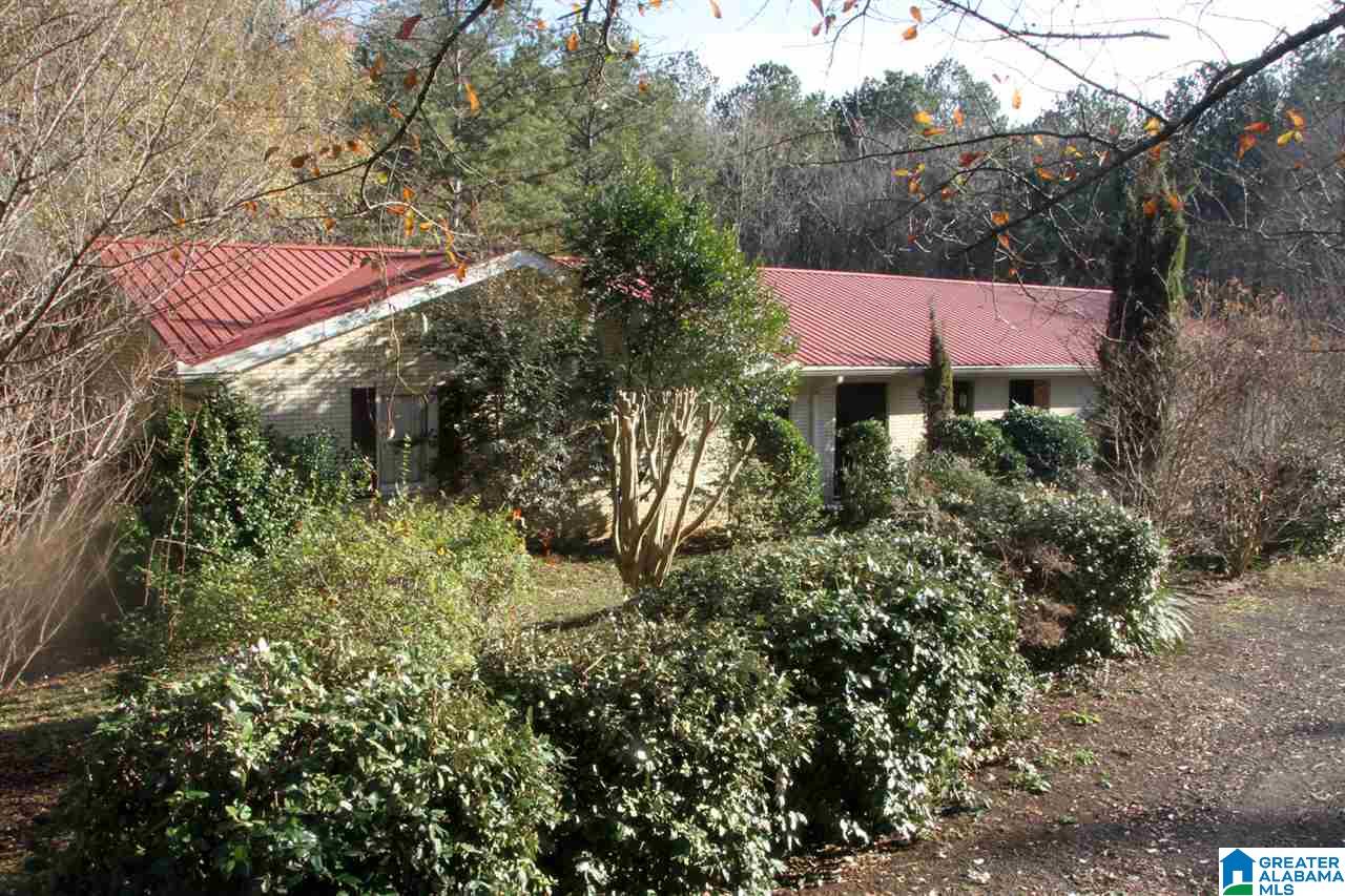 2232 Websters Chapel Road Wellington, AL 36279 - Photo 2 of 11
