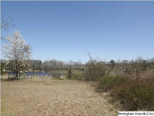 2470 Bon Air Road Sylacauga, AL 35150 - Photo 6 of 20