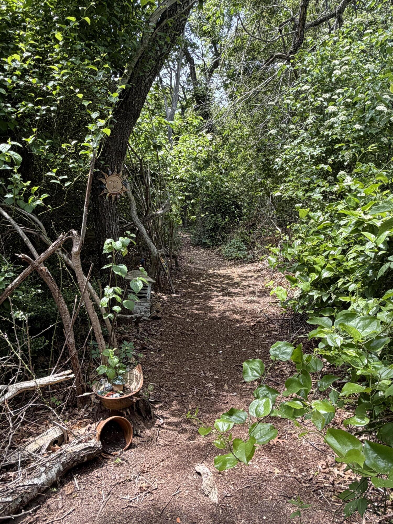 65 Pilgrims Path Eastham, MA 02642 - Photo 45 of 55 IMG_1525