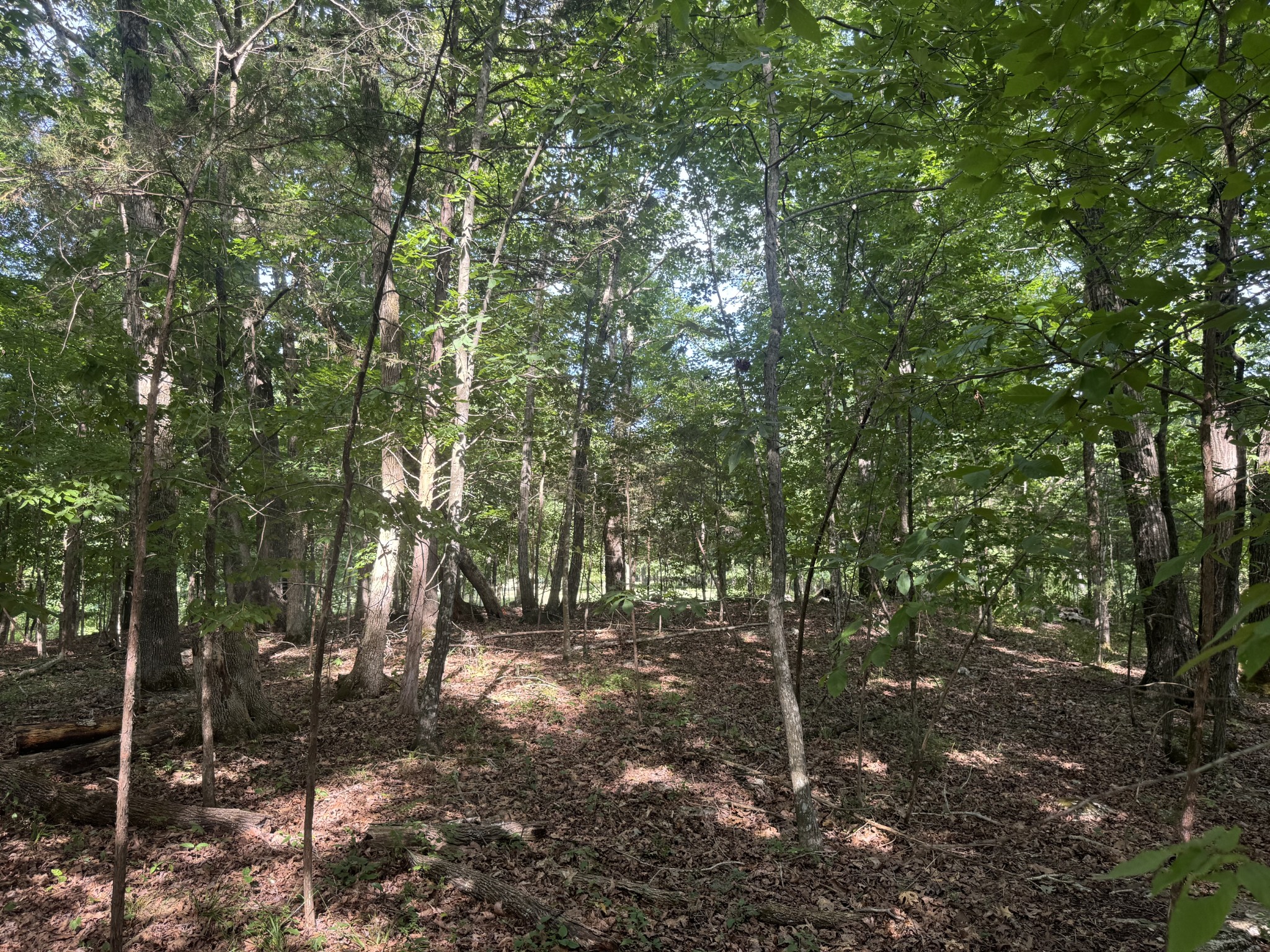 0 Rivy Way Lewisburg, TN 37091 - Photo 2 of 10