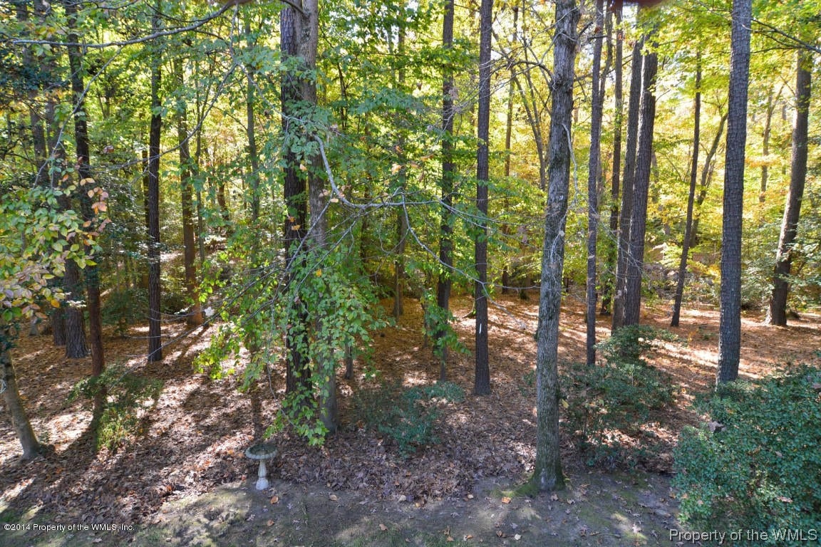 80 Governor Berkeley Road Williamsburg, VA 23185 - Photo 28 of 36 Gallery Image 28
