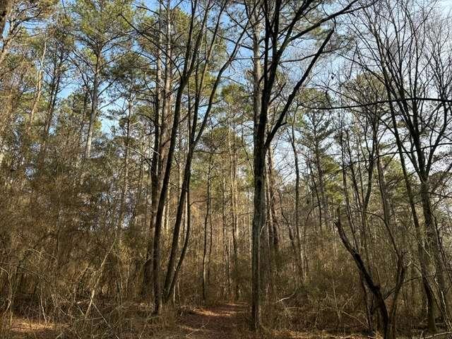 2994 Mt Zion Road, Unit 1 Carrollton, GA 30117 - Photo 1 of 6