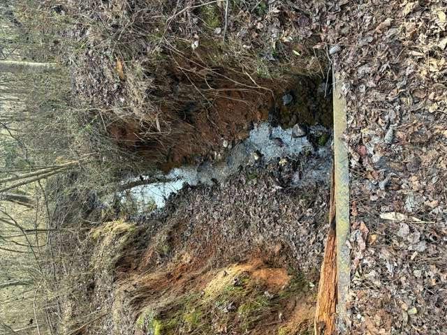 2994 Mt Zion Road, Unit 1 Carrollton, GA 30117 - Photo 3 of 6 a picture of a tree