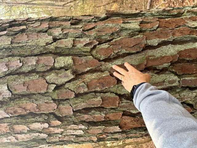2994 Mt Zion Road, Unit 1 Carrollton, GA 30117 - Photo 4 of 6 a view of entryway with outdoor space