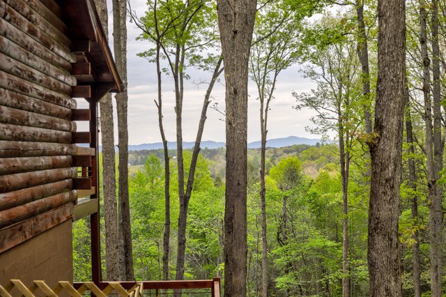 426 Jones Road Epworth, GA 30541 - Photo 2 of 34