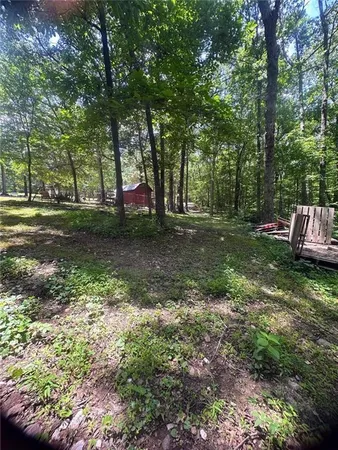 a view of a yard with large trees