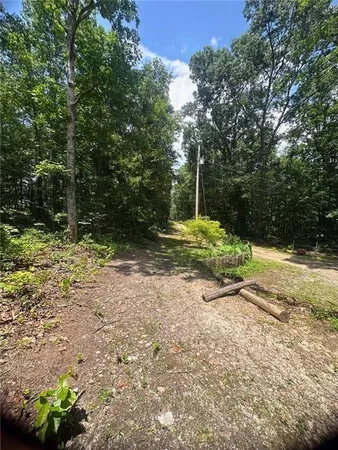 a view of a yard with plants and trees