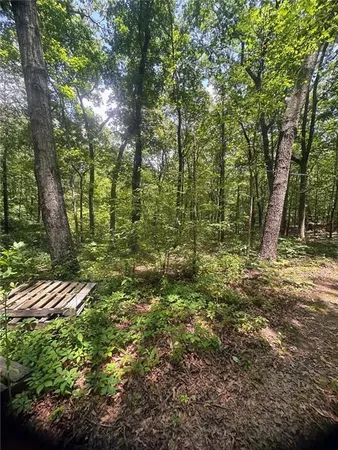 a view of outdoor space and yard