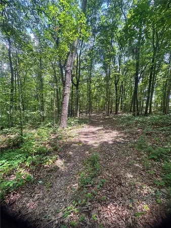 a view of outdoor space with trees